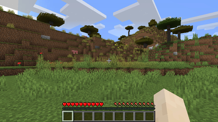 Can You Get Minecraft On Ubuntu 20.04 LXDE?